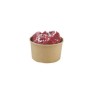 Achat en gros POT A GLACE CARTON 18CL