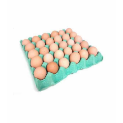 Achat en gros OEUF BIO GROS SEGUY