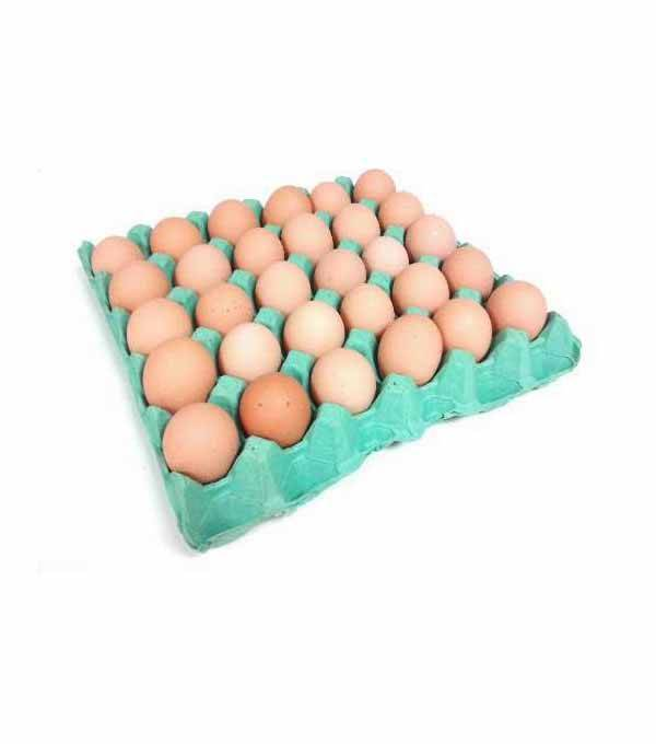 Achat en gros OEUF BIO GROS SEGUY