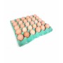 Achat en gros OEUF BIO GROS SEGUY
