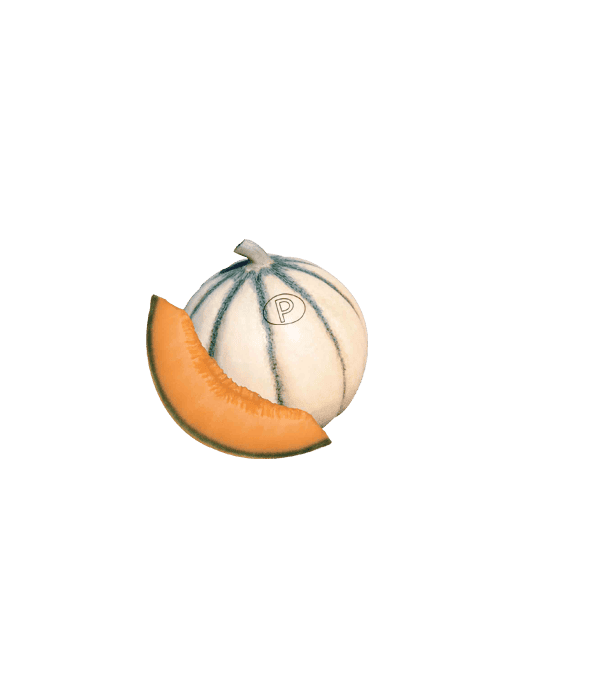 Distributeur alimentaire de MELON CHARENTAIS sur cash-alimentaire.com