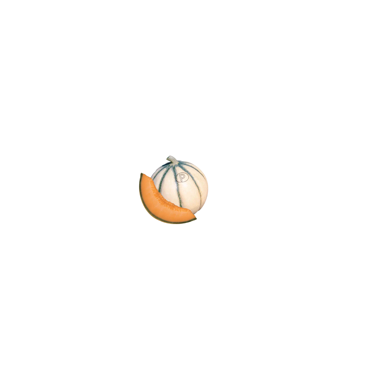 Distributeur alimentaire de MELON CHARENTAIS sur cash-alimentaire.com