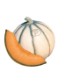 Distributeur alimentaire de MELON CHARENTAIS sur cash-alimentaire.com