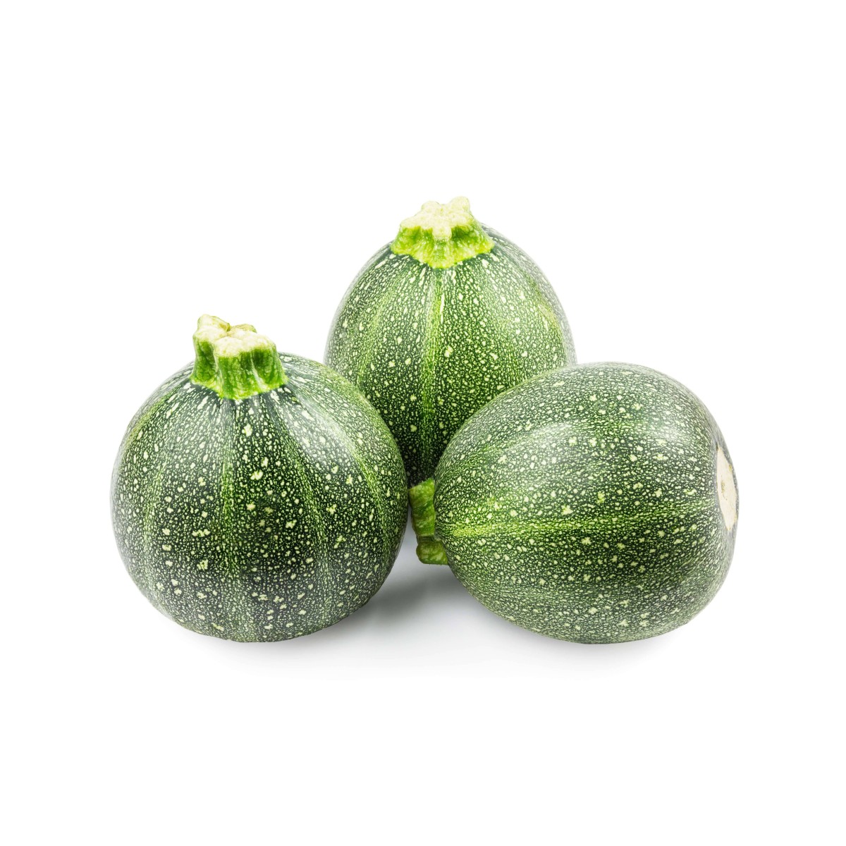 Vente en gros COURGETTE PAYS CASE sur cash-alimentaire.com