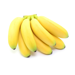 FRECINETTE à prix grossiste sur www.cash-alimentaire.com