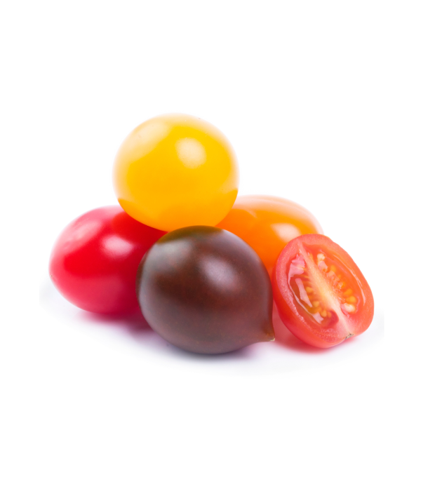 Achat en gros TOMATE CERISE 4 COULEURS PRINCE BRETAGNE
