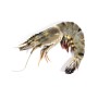 Achat en ligne CREVETTE ENTIERE CRUE 16/20 BLACK TIGER SANCHITA