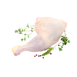 Vente en gros CUISSE DE POULET sur cash-alimentaire.com