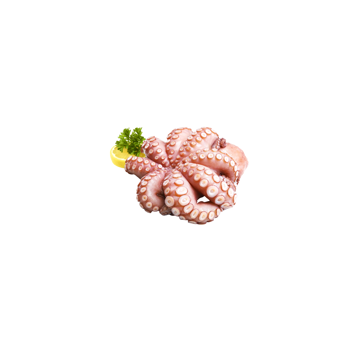 Vente en gros POULPE ENTIER NETTOYE 500/1000 MOYSEAFOOD sur cash-alimentaire.com