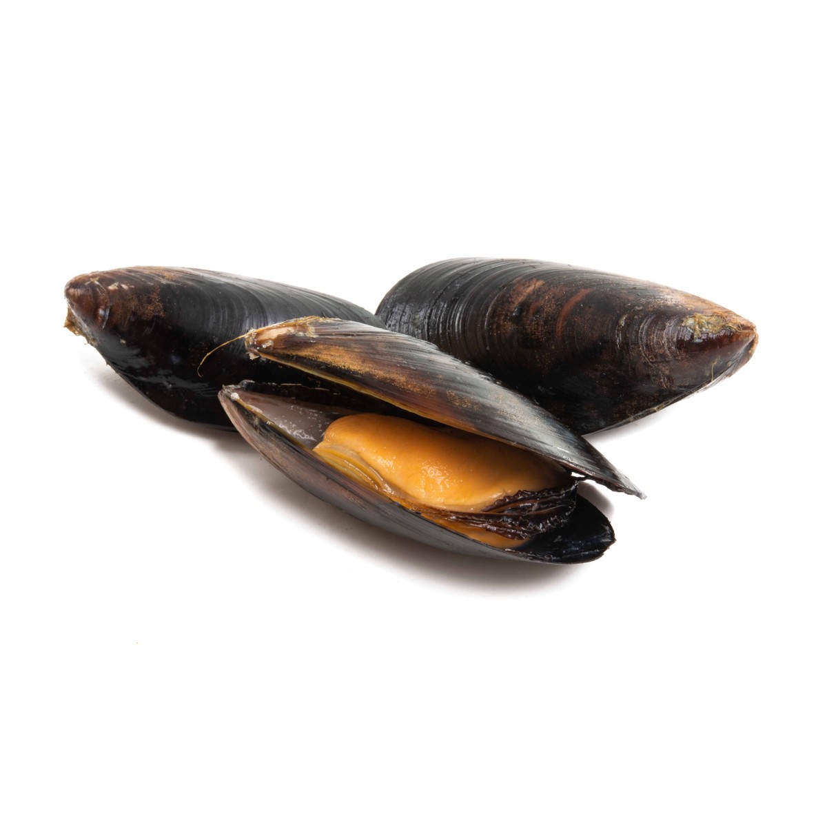 Achat en ligne MOULES ENTIERE CUITE PLEINE MER BRASMAR sur cash-alimentaire.com