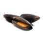 Achat en ligne MOULES ENTIERE CUITE PLEINE MER BRASMAR sur cash-alimentaire.com