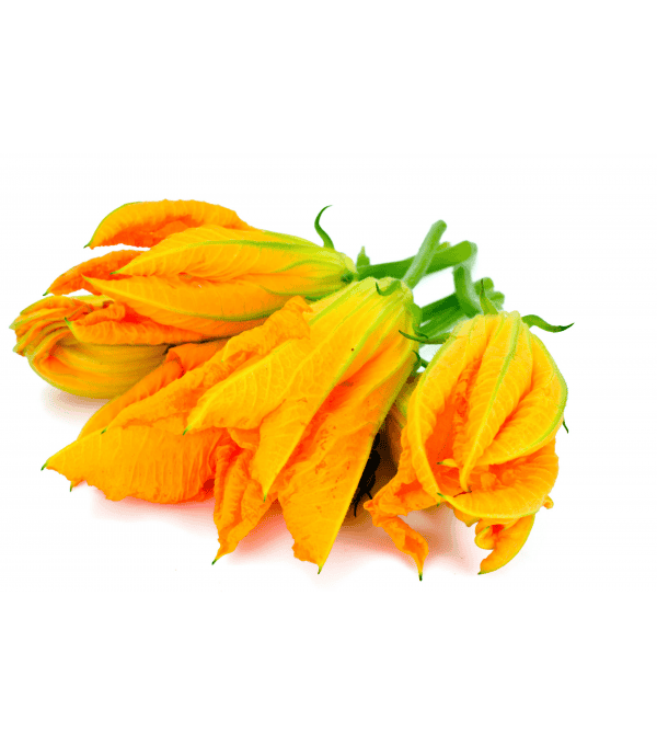 Achat en ligne FLEUR DE COURGETTE FRANCE sur cash-alimentaire.com