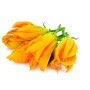 Achat en ligne FLEUR DE COURGETTE FRANCE sur cash-alimentaire.com