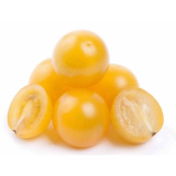 Achat en ligne TOMATE CERISE JAUNE EXTRA sur cash-alimentaire.com
