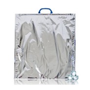Achat en ligne SACS ISOTHERME 50 X 50 CM sur cash-alimentaire.com