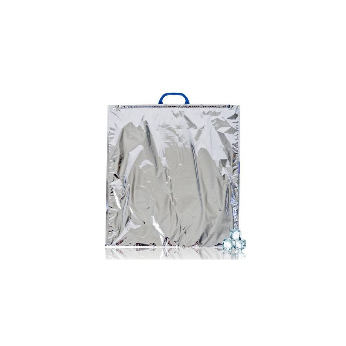 Achat en ligne SACS ISOTHERME 50 X 50 CM sur cash-alimentaire.com