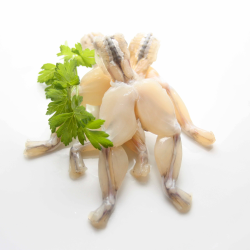 Achat en ligne CUISSE DE GRENOUILLE 8/12 SACHET 800GR VIETNAM sur cash-alimentaire.com