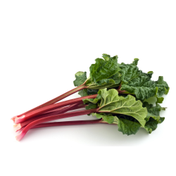 Achat en ligne RHUBARBE (+-200GR) FRANCE LE KG sur cash-alimentaire.com