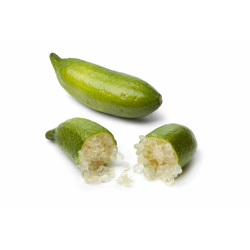 Achat en ligne CITRON CAVIAR sur cash-alimentaire.com