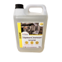 Achat en ligne DEGRAISSANT DESINFECTANT CONCENTRE CLEAN CASE sur cash-alimentaire.com