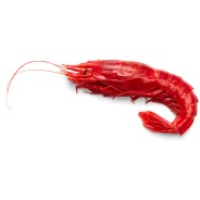 CREVETTE ENTIERE 10/20 VIEIRASA produits de gros sur cash-alimentaire.com