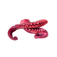 Vente en gros TENTACULE POULPE CUITE 370GR sur cash-alimentaire.com