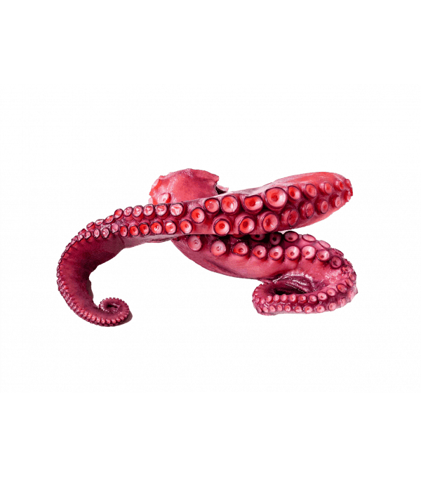 Vente en gros TENTACULE POULPE CUITE 370GR sur cash-alimentaire.com
