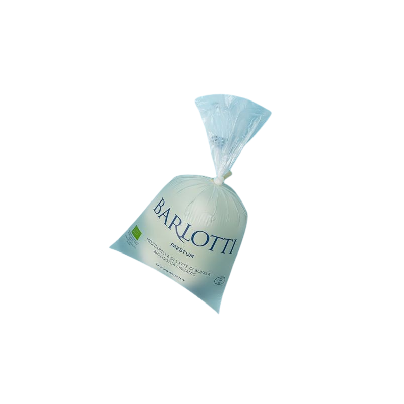 Achat en ligne MOZZARELLA DE BUFFLE AVERSANA 500GR sur cash-alimentaire.com