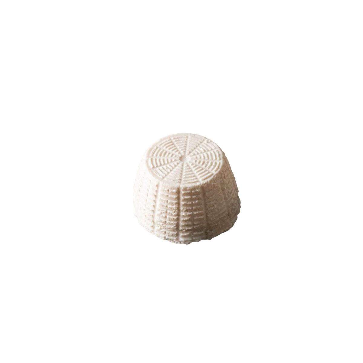 Achat en gros RICOTTA DE BREBIS 500GR ITALIE sur cash-alimentaire.com