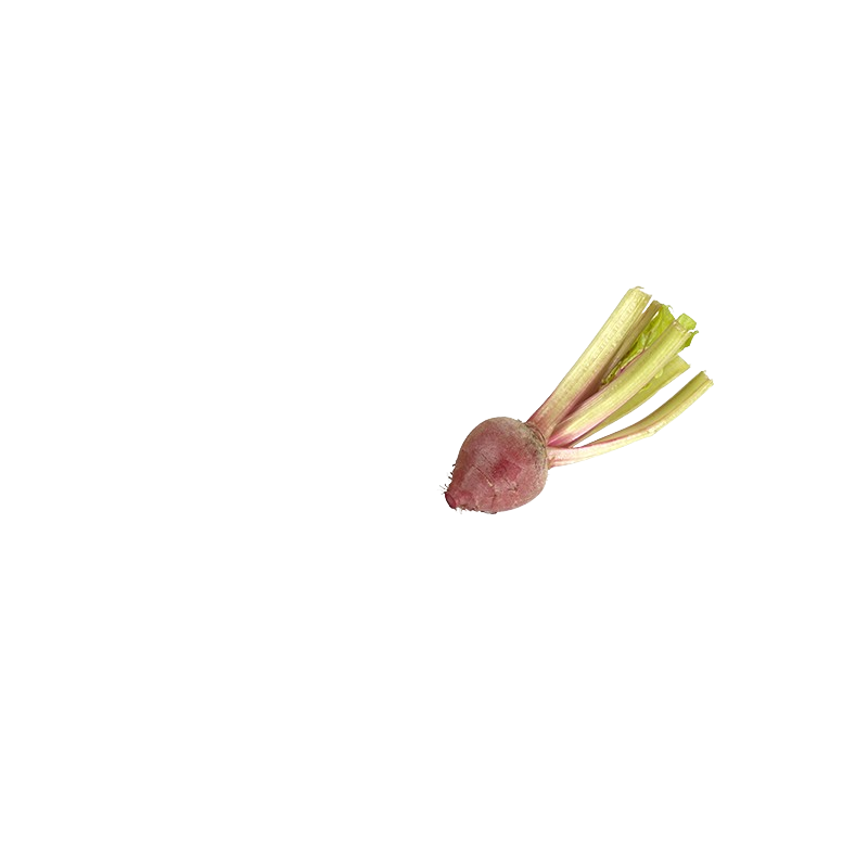 Achat en ligne MINI BETTRAVE CHIOGGA BARQUETTE 400GR FRANCE sur cash-alimentaire.com