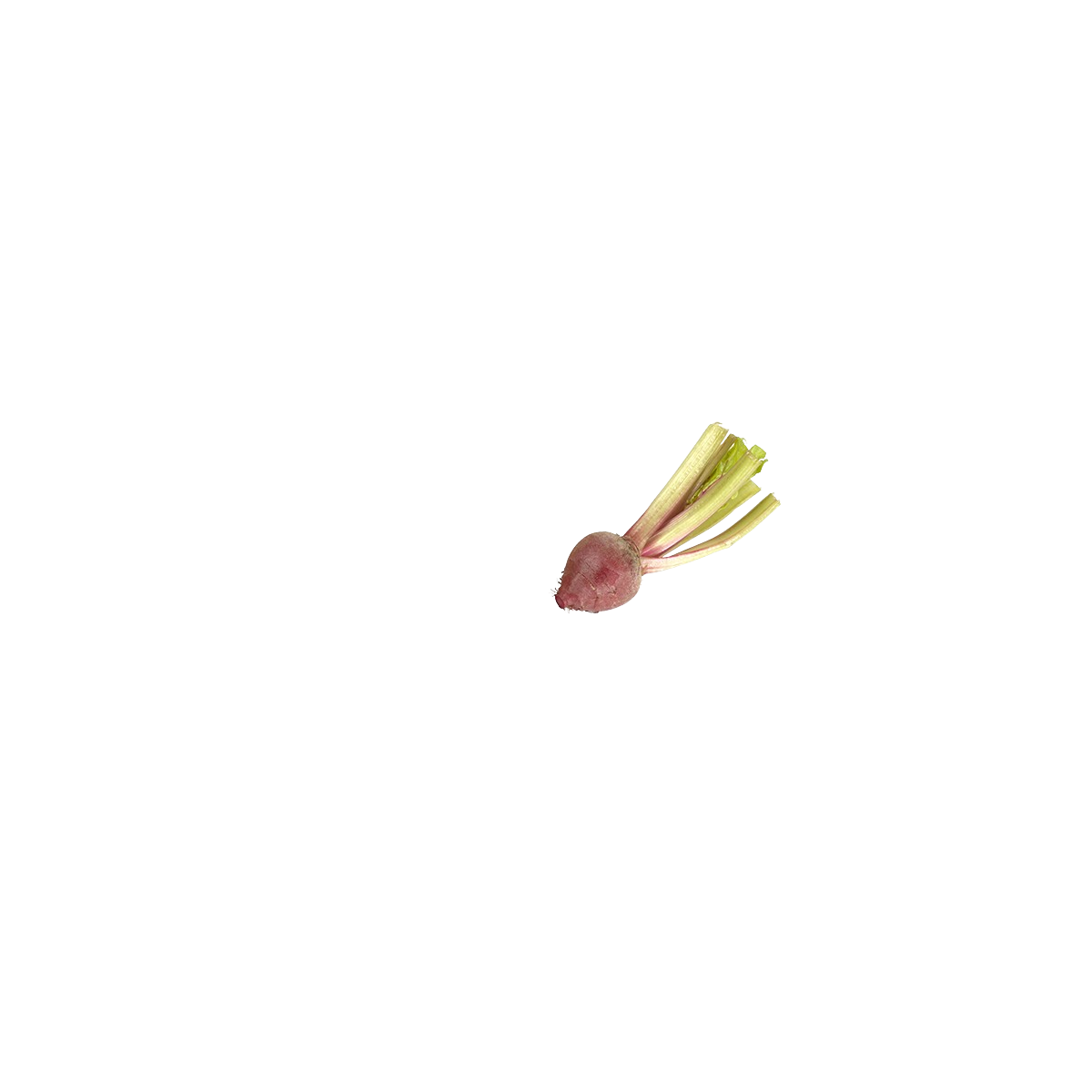 Achat en ligne MINI BETTRAVE CHIOGGA BARQUETTE 400GR FRANCE sur cash-alimentaire.com