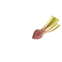Achat en ligne MINI BETTRAVE CHIOGGA BARQUETTE 400GR FRANCE sur cash-alimentaire.com