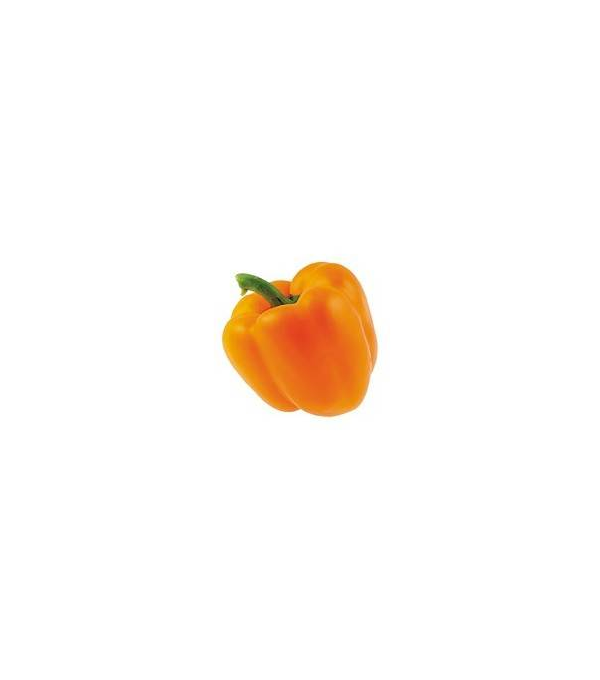 Achat en ligne POIVRON ORANGE EXTRA LE KG BELGIQUE sur cash-alimentaire.com