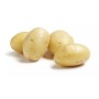 Achat en ligne POMME DE TERRE GRENAILLE CEASAR LE KG sur cash-alimentaire.com