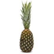 Achat en ligne ANANAS PAIN DE SUCRE LE KG BENIN sur cash-alimentaire.com