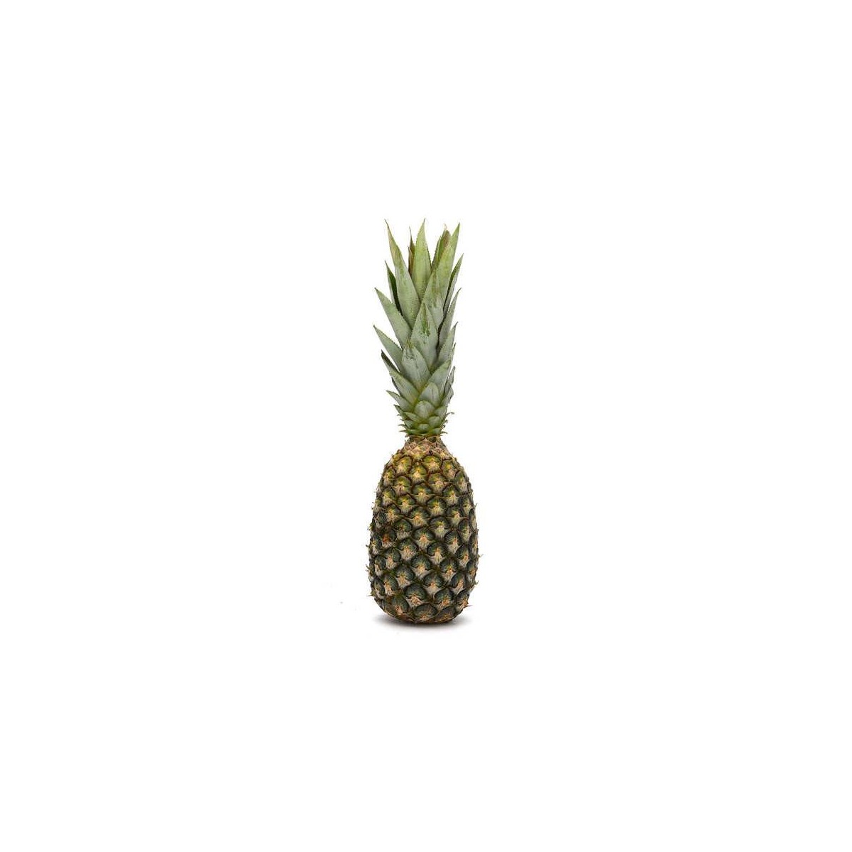 Achat en ligne ANANAS PAIN DE SUCRE LE KG BENIN sur cash-alimentaire.com