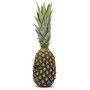 Achat en ligne ANANAS PAIN DE SUCRE LE KG BENIN sur cash-alimentaire.com