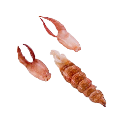 Achat en ligne CHAIR DE HOMARD CRU DECORTIQUE 170/195GR sur cash-alimentaire.com