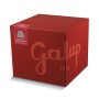 Achat en ligne de PANDORO CLASSICO  GALUP - cash-alimentaire.com