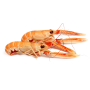 Achat en ligne LANGOUSTINE ENTIERE CRUE 4/7 sur cash-alimentaire.com
