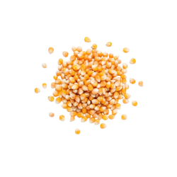 Achat en ligne MAIS A ECLATER FRANCE SAC 25KG sur cash-alimentaire.com