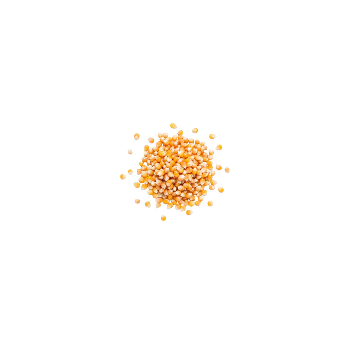 Achat en ligne MAIS A ECLATER FRANCE SAC 25KG sur cash-alimentaire.com