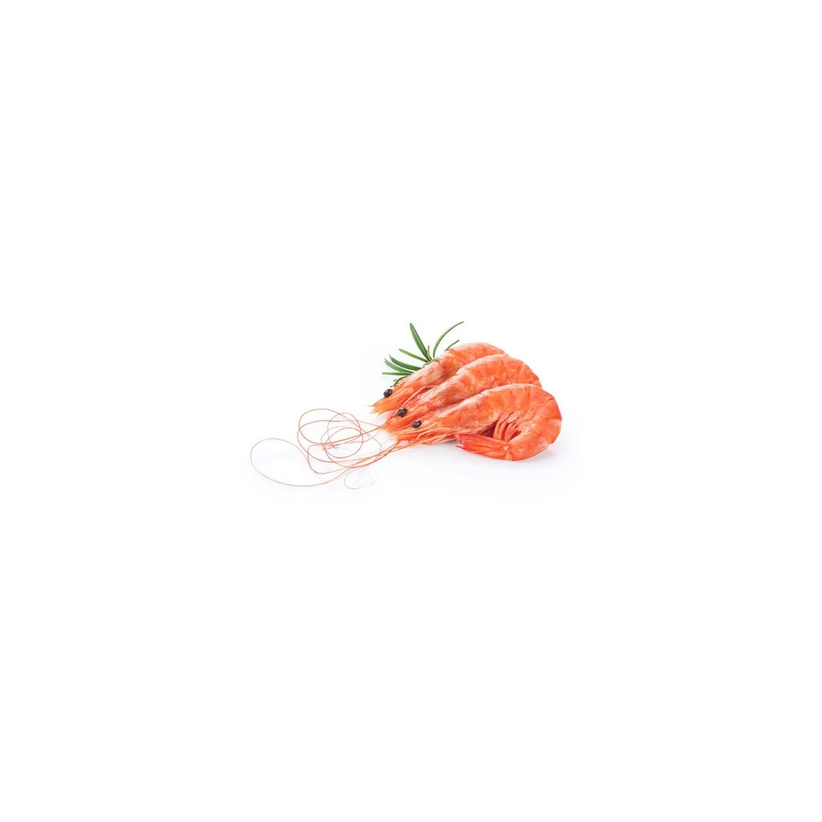 Achat en ligne CREVETTE ENTIERE CUITE 40/60 BOITE 2KG sur cash-alimentaire.com
