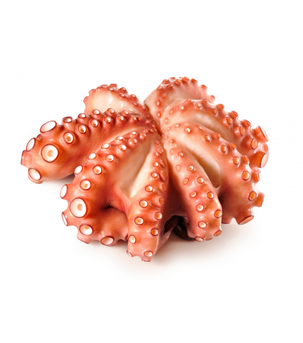 Achat en ligne POULPE ENTIER NETTOYE ROSACE 500/800 sur cash-alimentaire.com