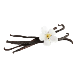 Achat en ligne GOUSSE DE VANILLE BOURBON TUBO 250GR sur cash-alimentaire.com