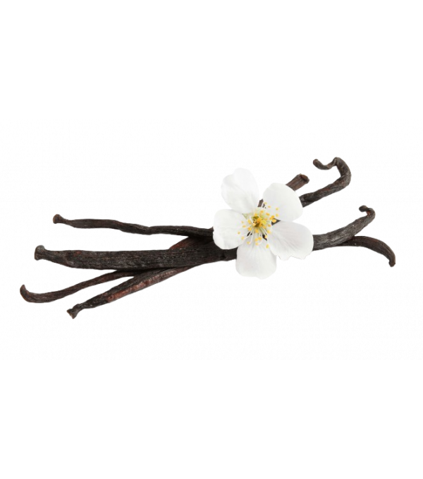 Achat en ligne GOUSSE DE VANILLE BOURBON TUBO 250GR sur cash-alimentaire.com
