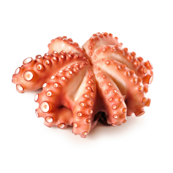 Achat en ligne POULPE ENTIER NETTOYE 500/800 LE KG sur cash-alimentaire.com