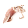 Achat en ligne CALMAR ENTIER BRUT 10/12CM CB BOITE 1 KG sur cash-alimentaire.com