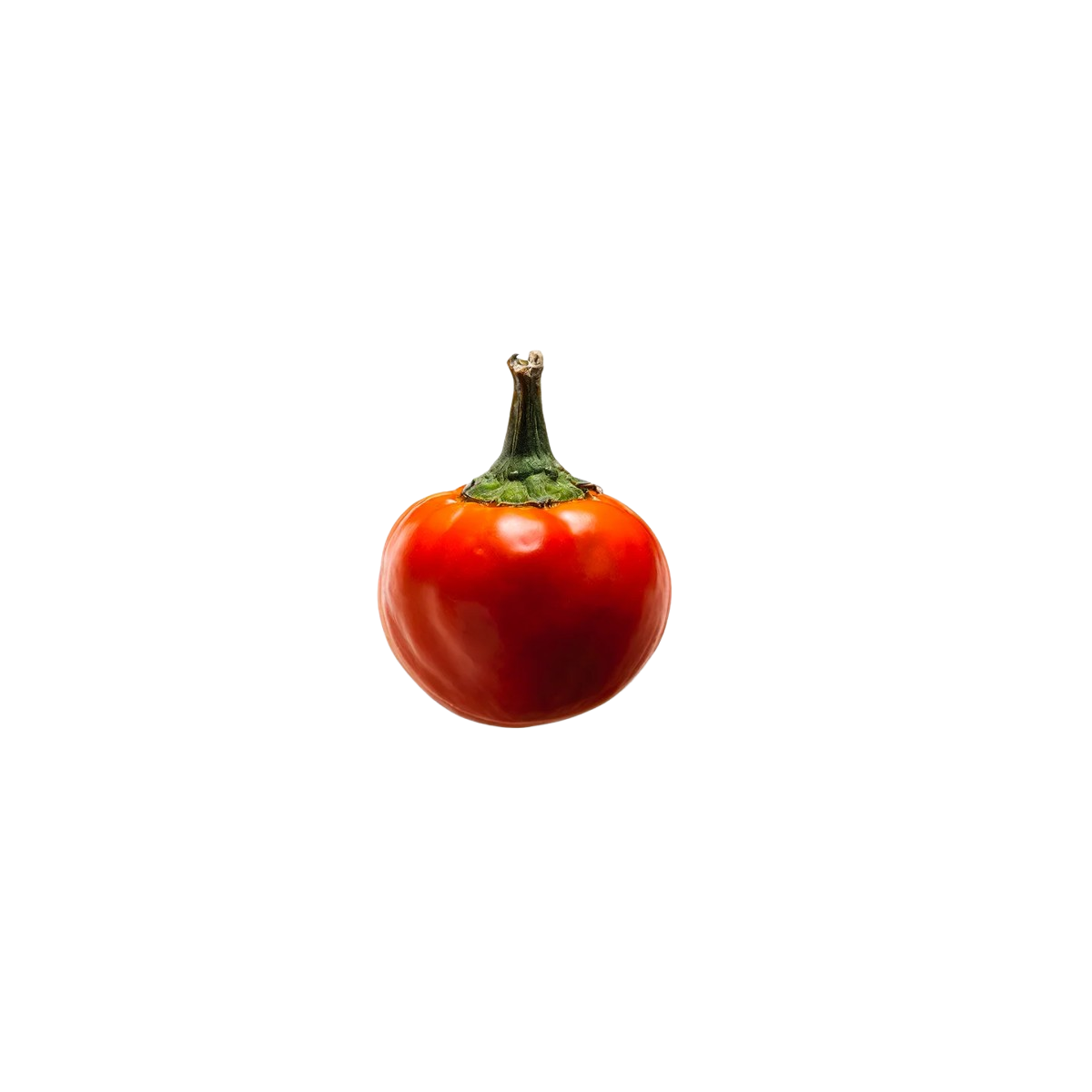 Achat en ligne PIMENT CERISE ROUGE DE CALABRE sur cash-alimentaire.com