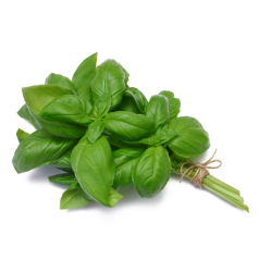 Achat en ligne BASILIC sur cash-alimentaire.com